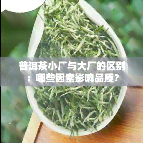 普洱茶小厂与大厂的区别：哪些因素影响品质？