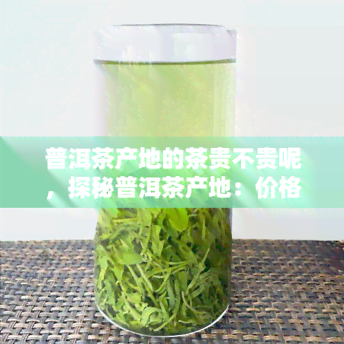 普洱茶产地的茶贵不贵呢，探秘普洱茶产地：价格高吗？