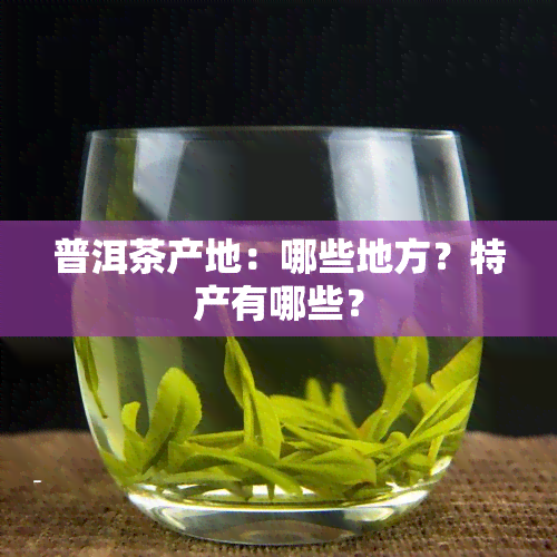 普洱茶产地：哪些地方？特产有哪些？