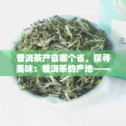 普洱茶产自哪个省，探寻美味：普洱茶的产地——云南省