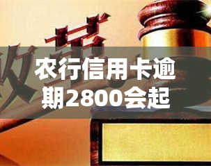 农行信用卡逾期2800会起诉吗，农行信用卡逾期2800元是否会面临诉讼风险？