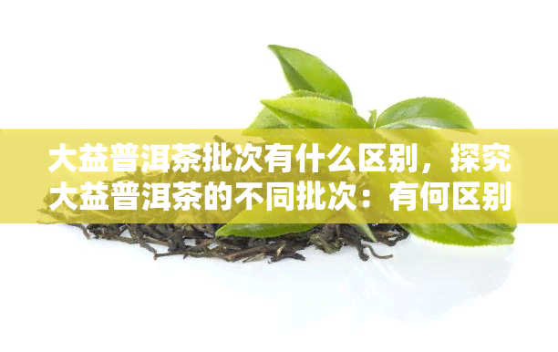 大益普洱茶批次有什么区别，探究大益普洱茶的不同批次：有何区别？