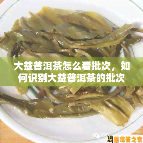 大益普洱茶怎么看批次，如何识别大益普洱茶的批次？