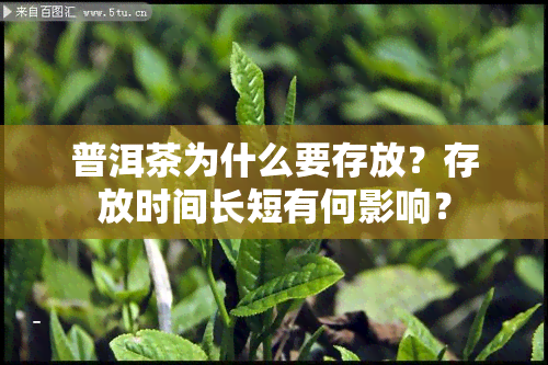 普洱茶为什么要存放？存放时间长短有何影响？