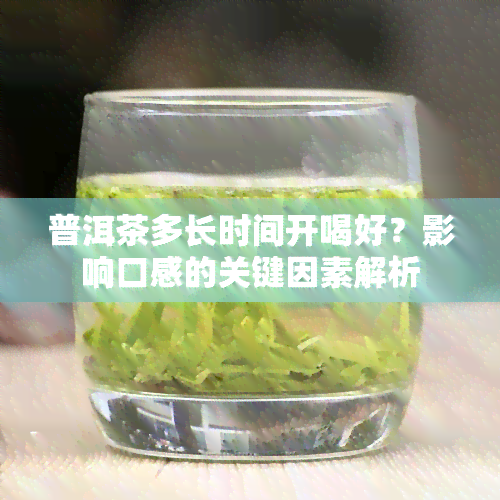 普洱茶多长时间开喝好？影响口感的关键因素解析