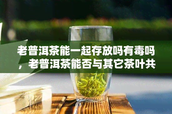 老普洱茶能一起存放吗有吗，老普洱茶能否与其它茶叶共存？是否有？