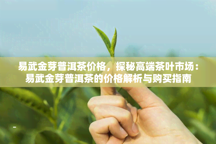 易武金芽普洱茶价格，探秘高端茶叶市场：易武金芽普洱茶的价格解析与购买指南