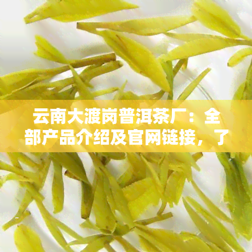 云南大渡岗普洱茶厂：全部产品介绍及官网链接，了解普洱大渡岗万亩茶园详情