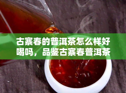 古寨春的普洱茶怎么样好喝吗，品鉴古寨春普洱茶：口感醇厚，回味悠长！