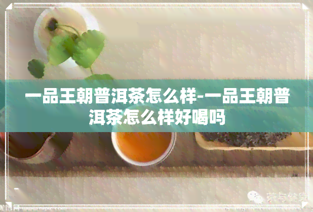 一品王朝普洱茶怎么样-一品王朝普洱茶怎么样好喝吗