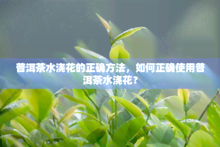 普洱茶水浇花的正确方法，如何正确使用普洱茶水浇花？