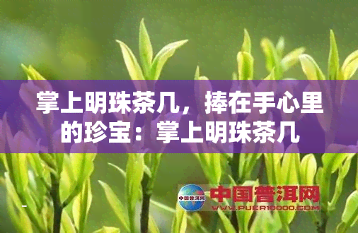 掌上明珠茶几，捧在手心里的珍宝：掌上明珠茶几