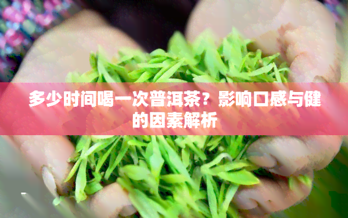 多少时间喝一次普洱茶？影响口感与健的因素解析