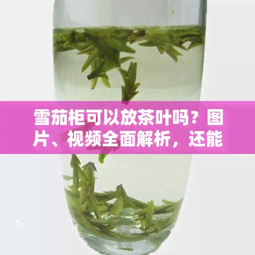 雪茄柜可以放茶叶吗？图片、视频全面解析，还能放什么在雪茄柜中？放在衣柜还是需要密封袋？