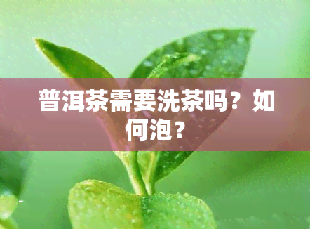 普洱茶需要洗茶吗？如何泡？