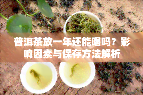 普洱茶放一年还能喝吗？影响因素与保存方法解析