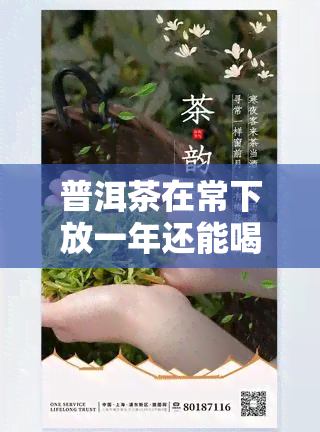 普洱茶在常下放一年还能喝吗？影响因素与是否变质解析