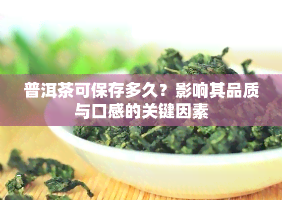 普洱茶可保存多久？影响其品质与口感的关键因素