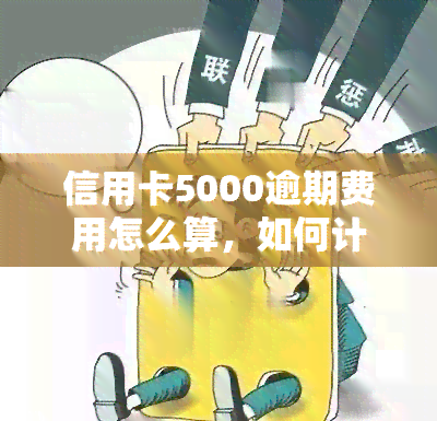 信用卡5000逾期费用怎么算，如何计算信用卡逾期5000元的费用？