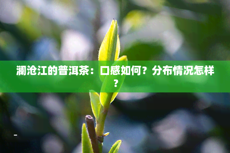 澜沧江的普洱茶：口感如何？分布情况怎样？