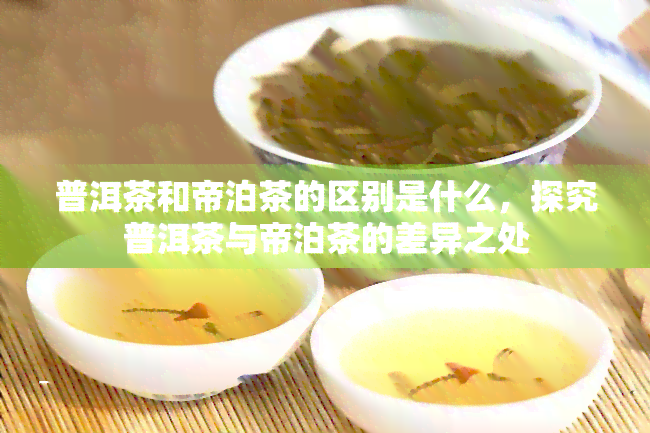 普洱茶和帝泊茶的区别是什么，探究普洱茶与帝泊茶的差异之处