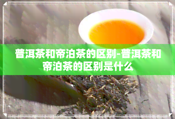 普洱茶和帝泊茶的区别-普洱茶和帝泊茶的区别是什么