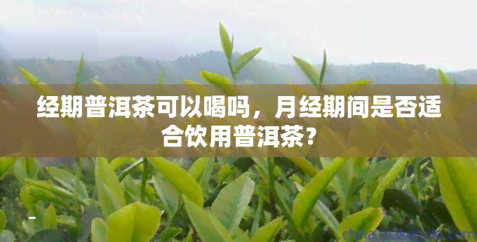 经期普洱茶可以喝吗，月经期间是否适合饮用普洱茶？