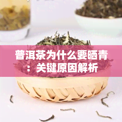 普洱茶为什么要晒青：关键原因解析