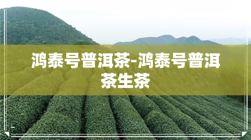 鸿泰号普洱茶-鸿泰号普洱茶生茶