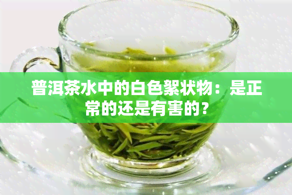 普洱茶水中的白色絮状物：是正常的还是有害的？