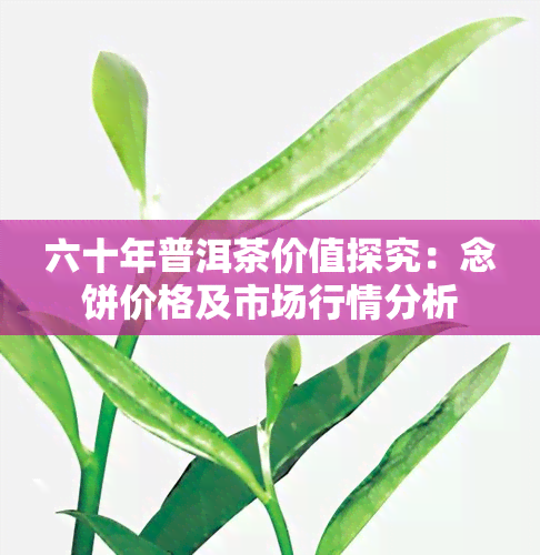 六十年普洱茶价值探究：念饼价格及市场行情分析