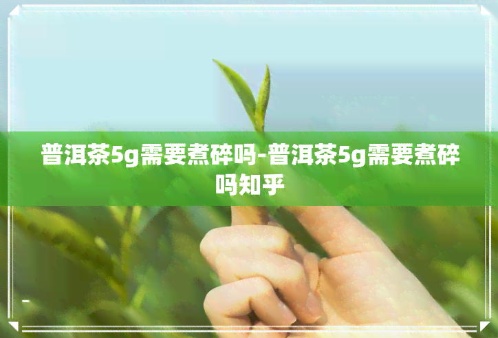 普洱茶5g需要煮碎吗-普洱茶5g需要煮碎吗知乎