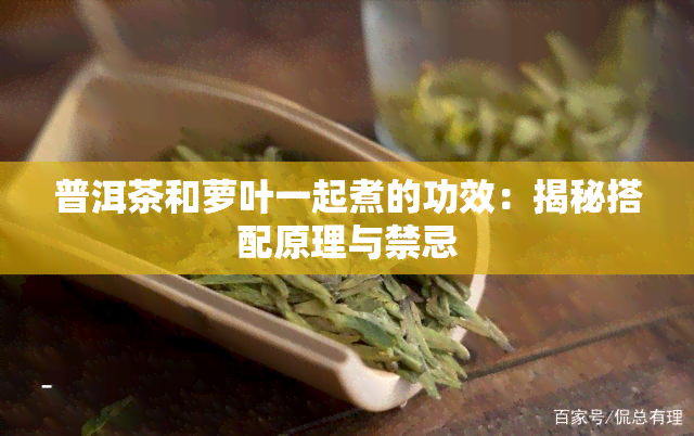 普洱茶和萝叶一起煮的功效：揭秘搭配原理与禁忌