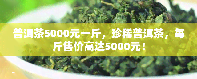 普洱茶5000元一斤，珍稀普洱茶，每斤售价高达5000元！