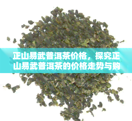 正山易武普洱茶价格，探究正山易武普洱茶的价格走势与购买建议