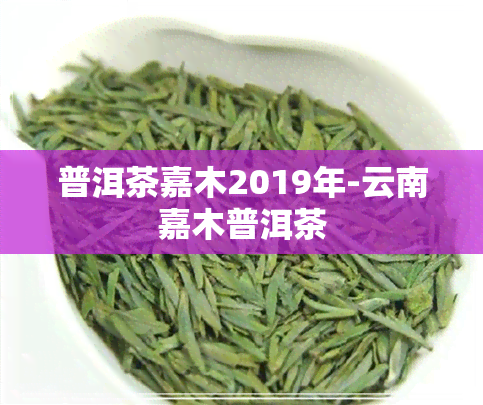 普洱茶嘉木2019年-云南嘉木普洱茶