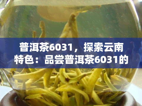 普洱茶6031，探索云南特色：品尝普洱茶6031的韵味与历