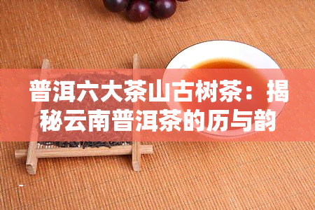 普洱六大茶山古树茶：揭秘云南普洱茶的历与韵味