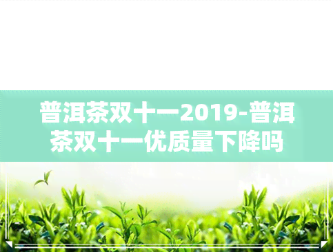 普洱茶双十一2019-普洱茶双十一优质量下降吗