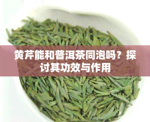 黄芹能和普洱茶同泡吗？探讨其功效与作用