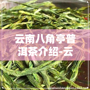 云南八角亭普洱茶介绍-云南八角亭普洱茶怎么样