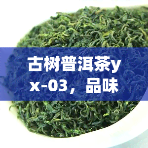 古树普洱茶yx-03，品味古老韵味：尝试古树普洱茶yx-03