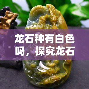 龙石种有白色吗，探究龙石种的色彩：是否存在白色的品种？