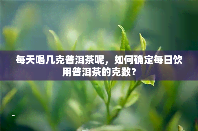 每天喝几克普洱茶呢，如何确定每日饮用普洱茶的克数？