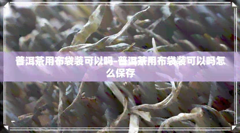 普洱茶用布袋装可以吗-普洱茶用布袋装可以吗怎么保存