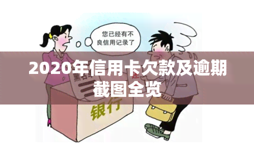 2020年信用卡欠款及逾期截图全览