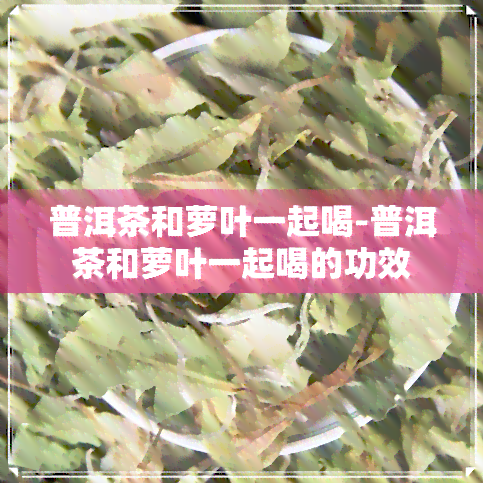 普洱茶和萝叶一起喝-普洱茶和萝叶一起喝的功效