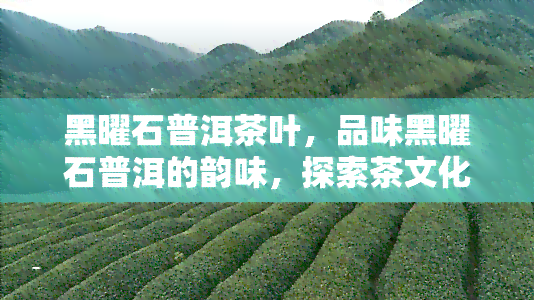 黑曜石普洱茶叶，品味黑曜石普洱的韵味，探索茶文化的魅力