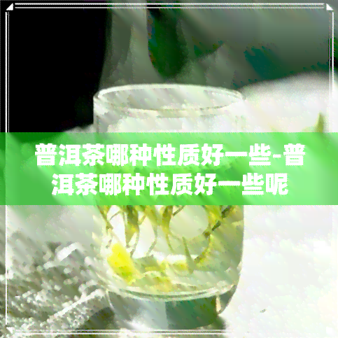 普洱茶哪种性质好一些-普洱茶哪种性质好一些呢