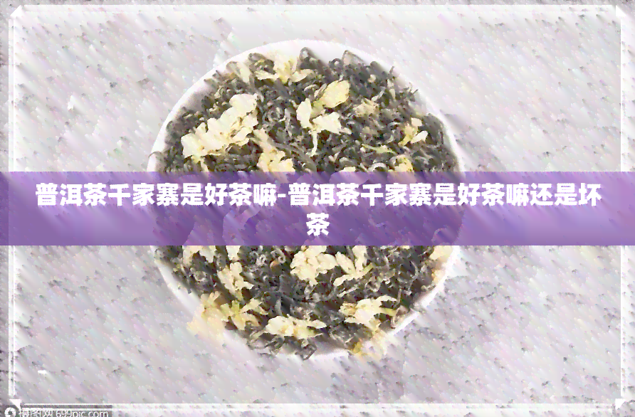 普洱茶千家寨是好茶嘛-普洱茶千家寨是好茶嘛还是坏茶